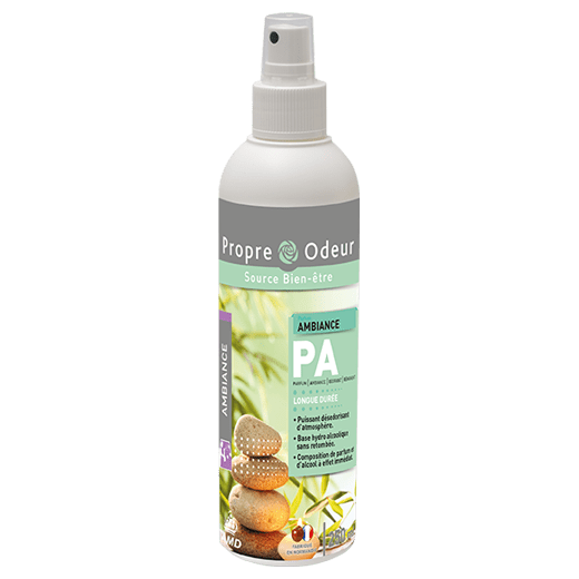Parfum d'ambiance AMBIANCE 250ml