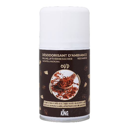 RECHARGE DESODORISANT OUD 250ML