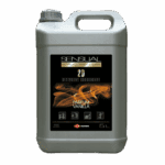 NETTOYANT DESODORISANT VANILLA 2D SENSUAL 5L