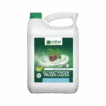 Desinfectant odorisant SLC bactericide pin des landes 5L