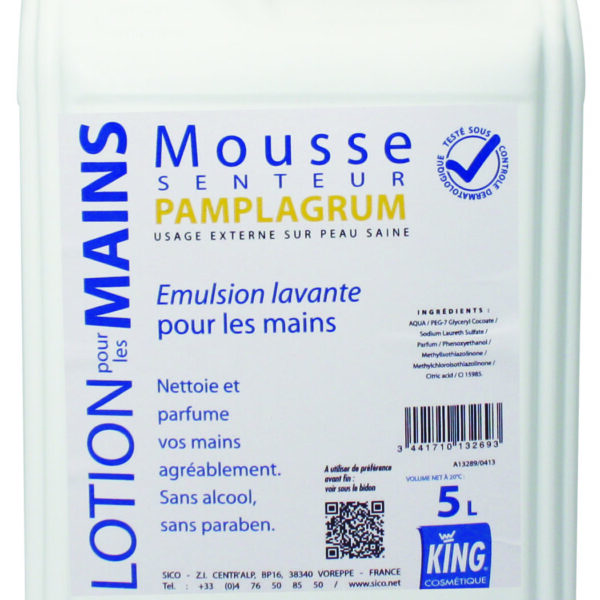 LOTION MAIN MOUSSE PAMPLAGRUM 5L